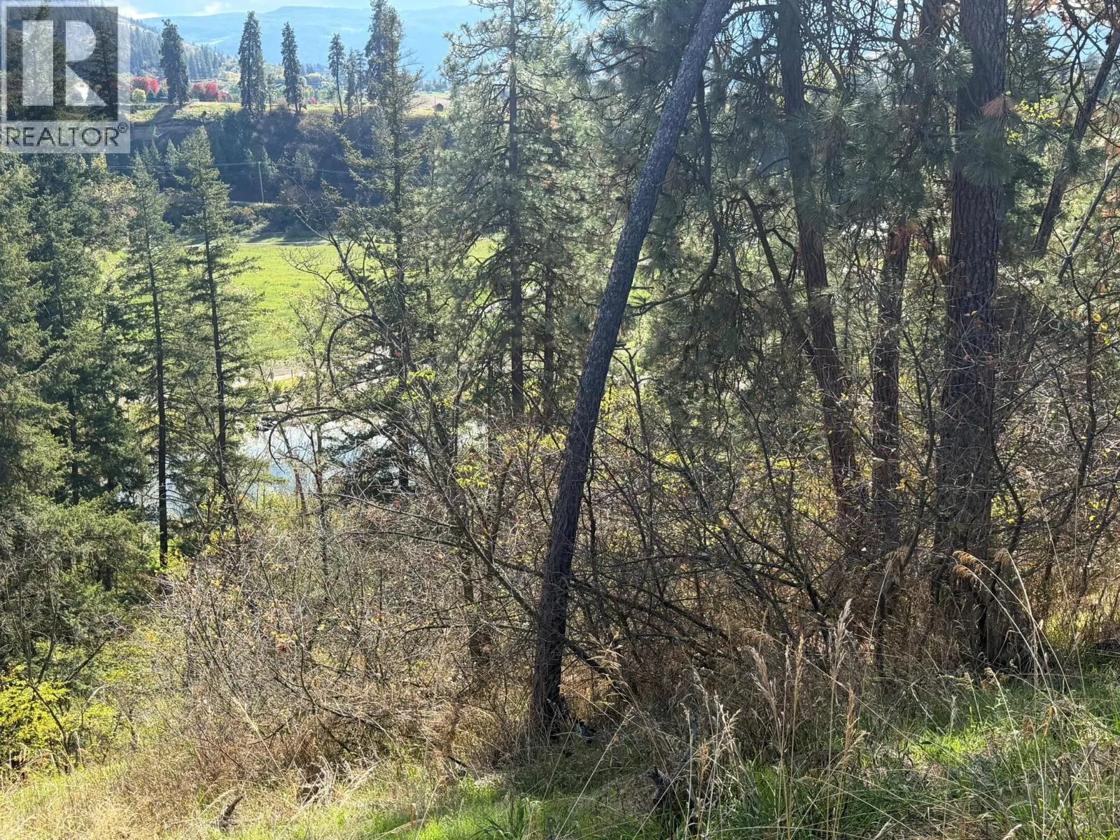 5440 Silver Star Road