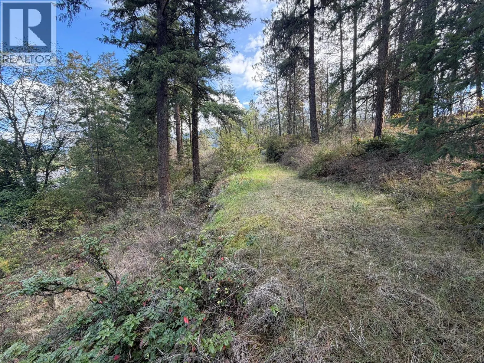 5440 Silver Star Road