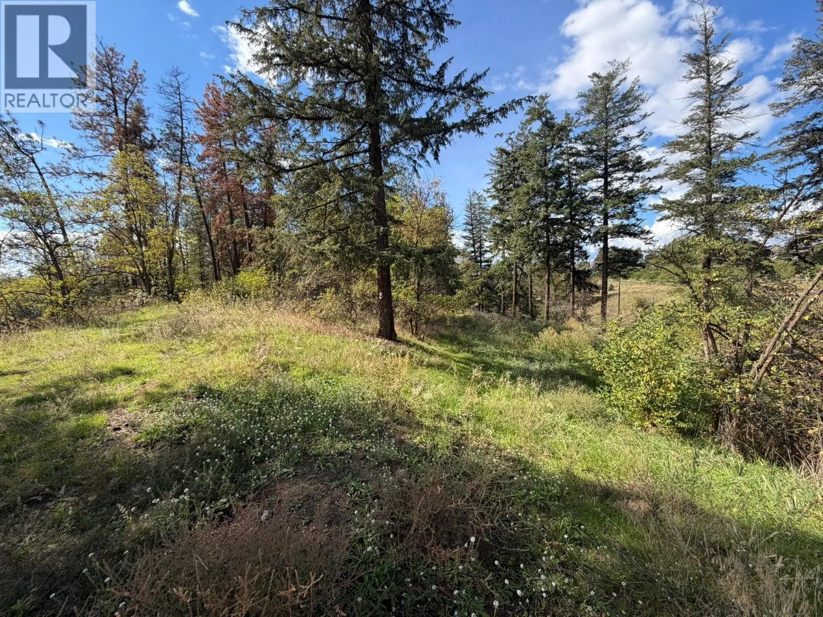 5440 Silver Star Road