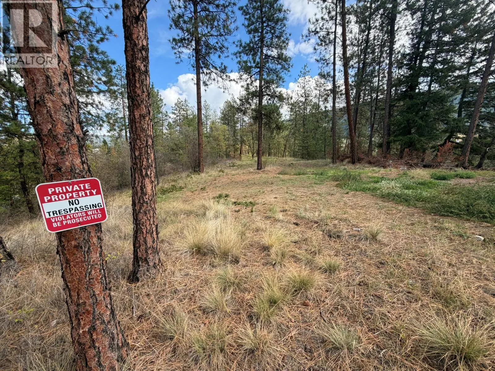 5440 Silver Star Road