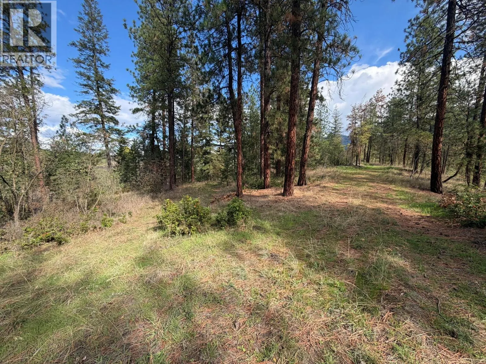 5440 Silver Star Road