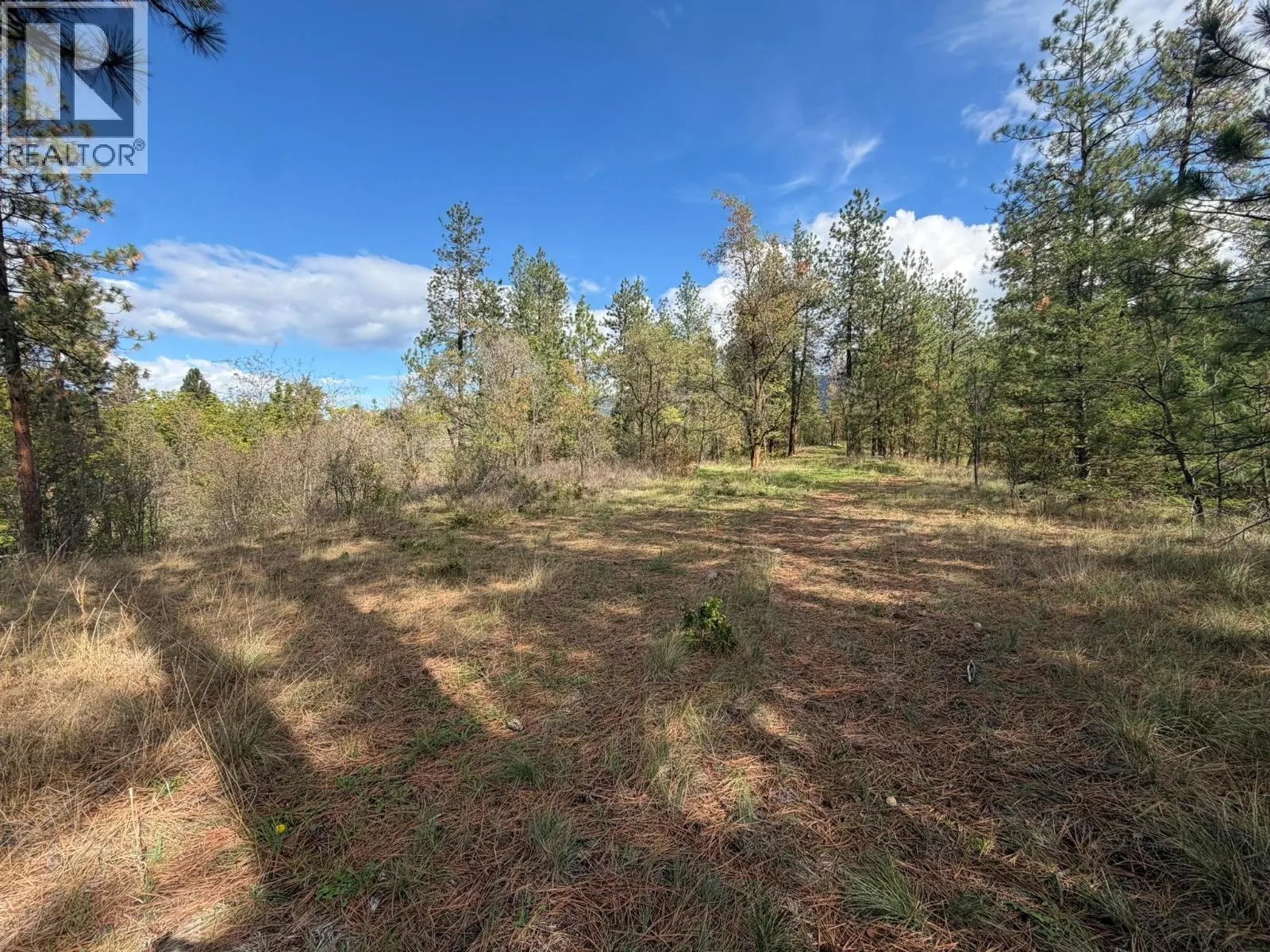 5440 Silver Star Road