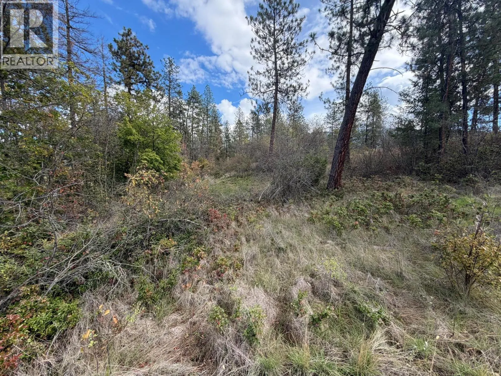 5440 Silver Star Road