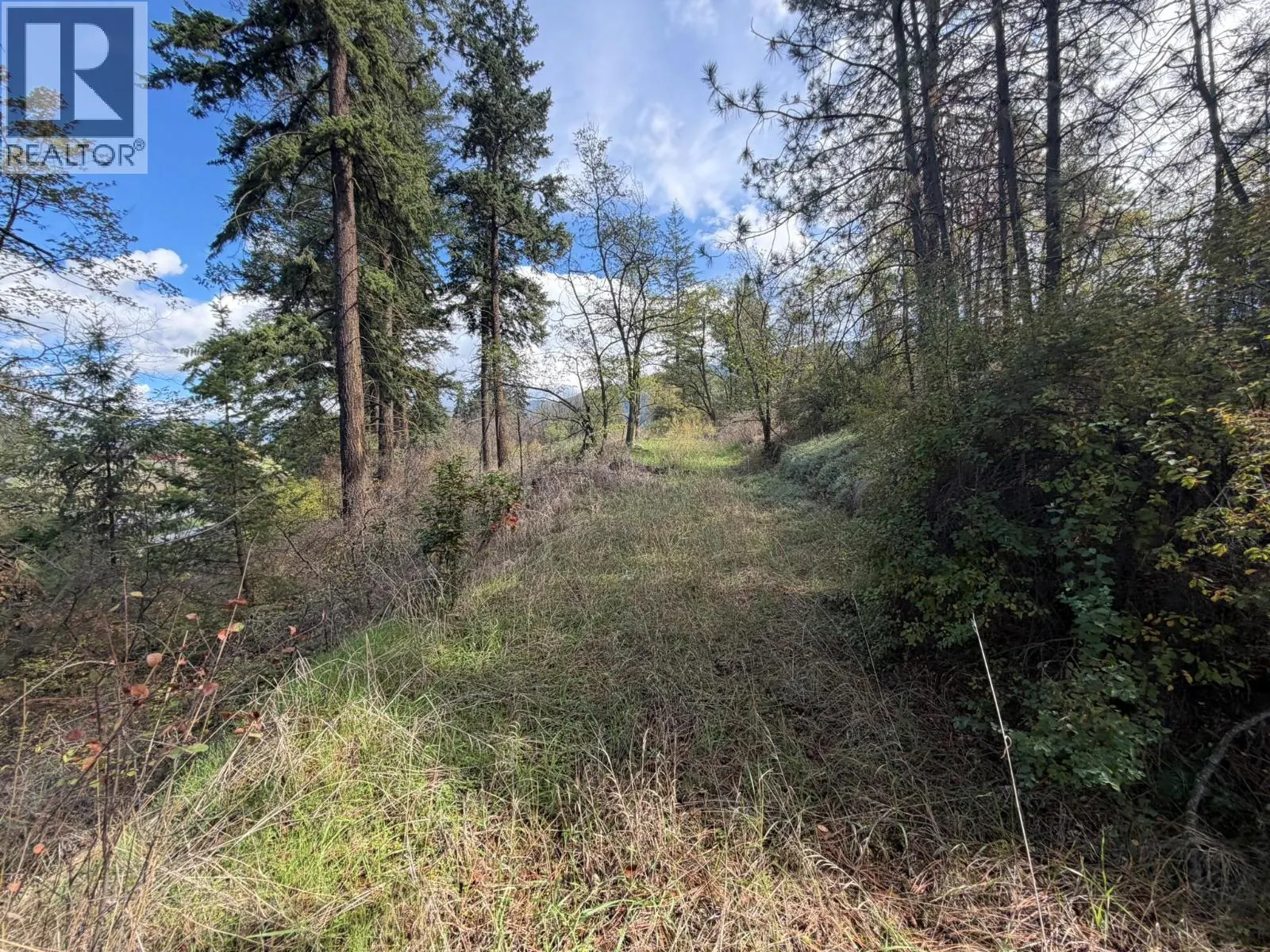 5440 Silver Star Road