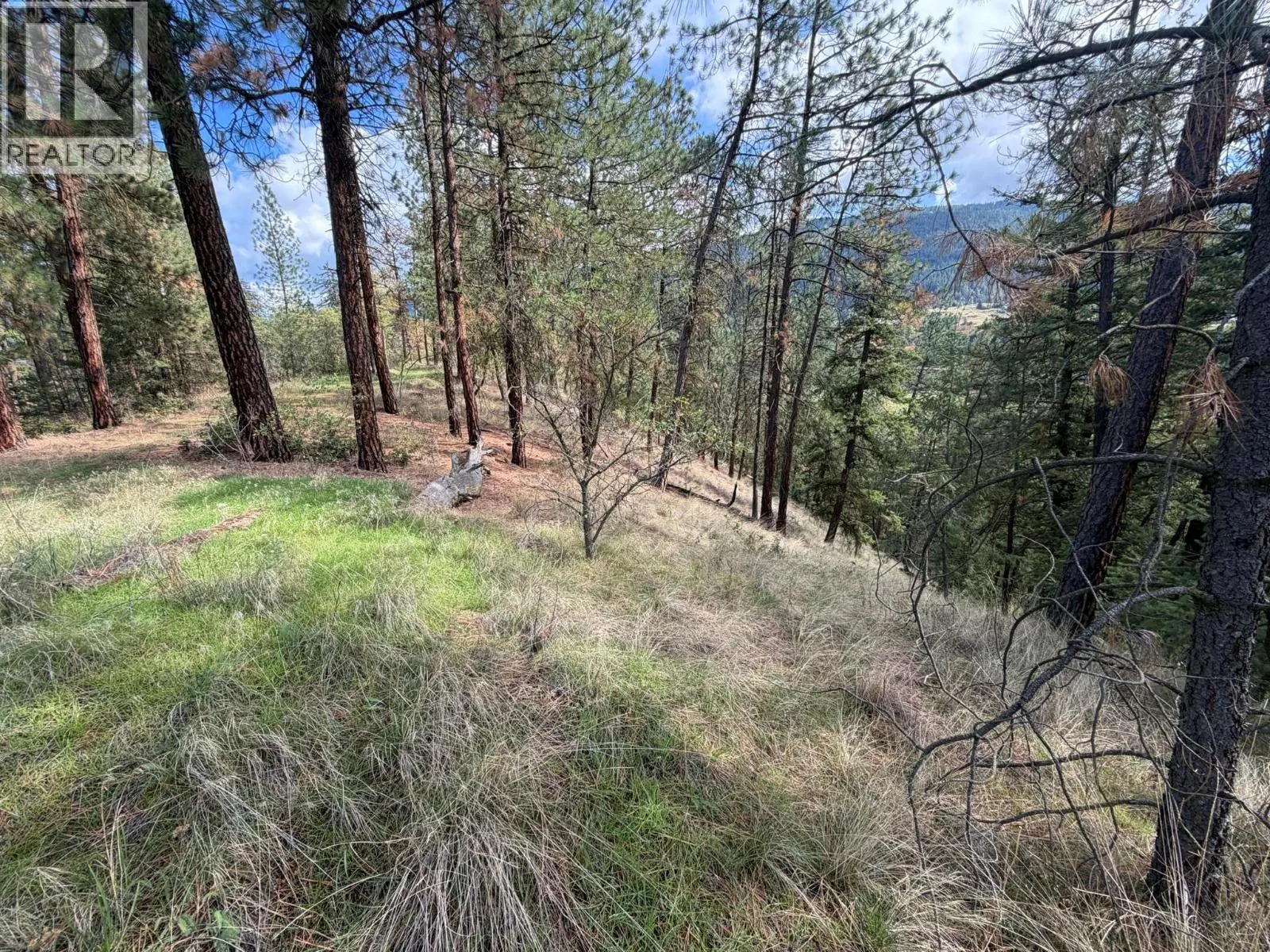5440 Silver Star Road