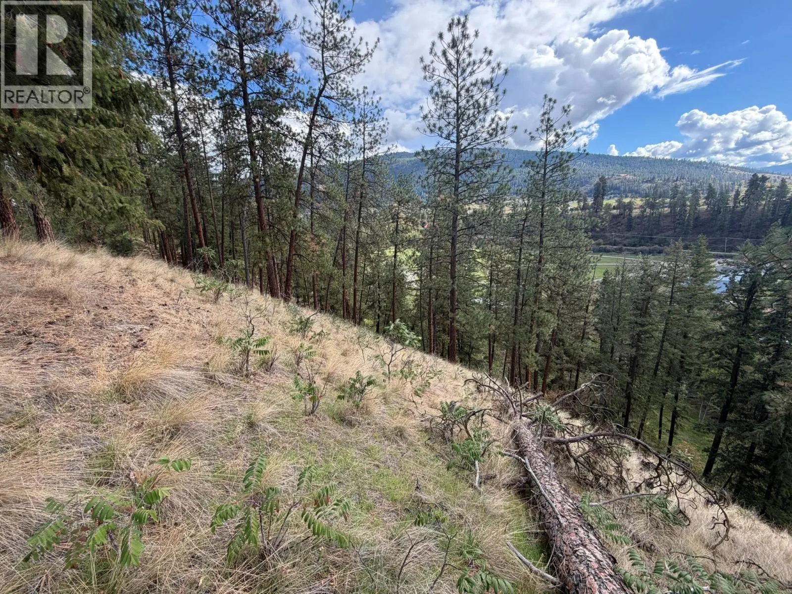 5440 Silver Star Road