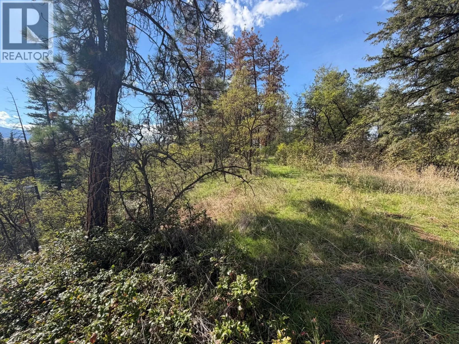5440 Silver Star Road
