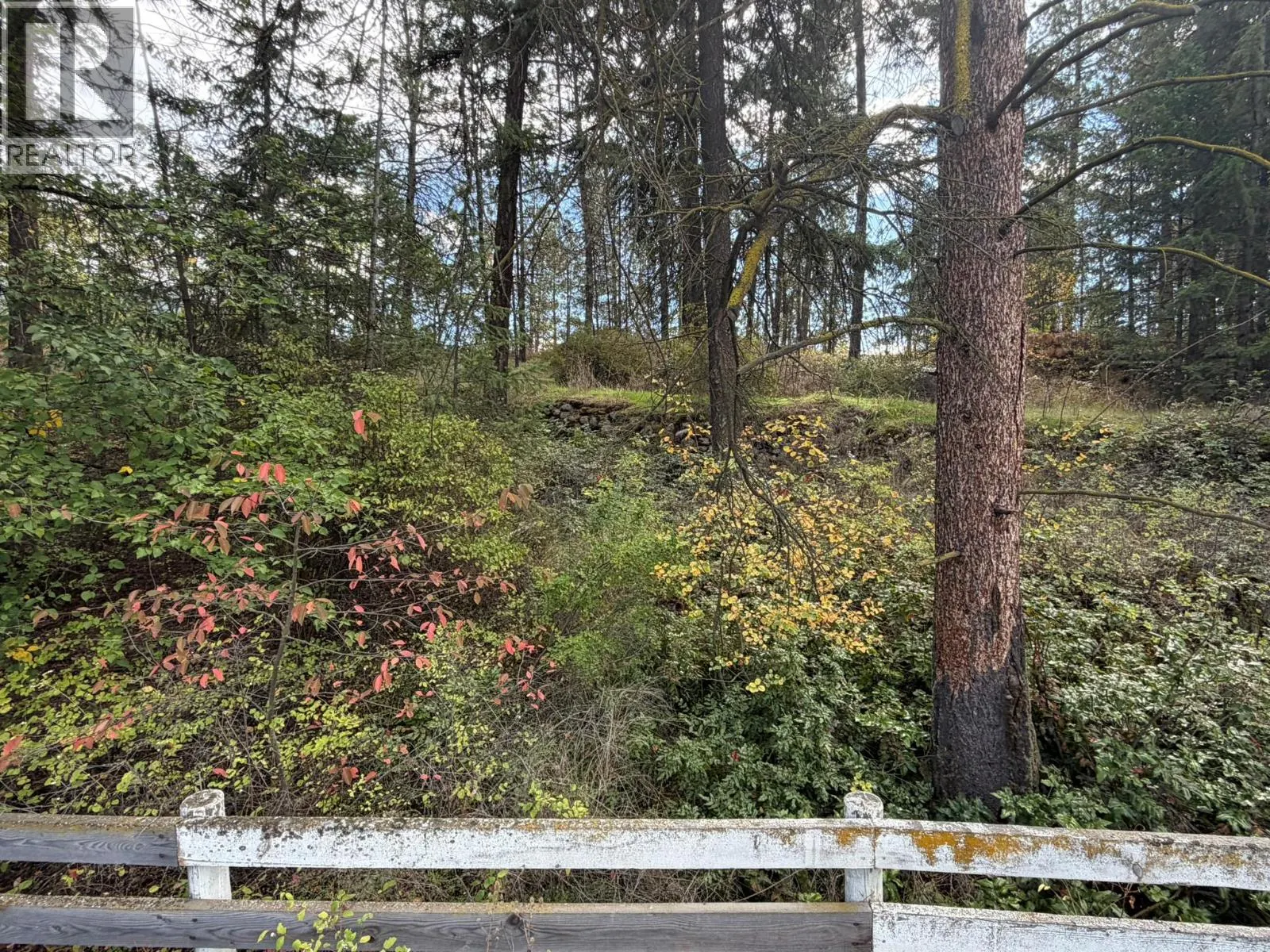 5440 Silver Star Road