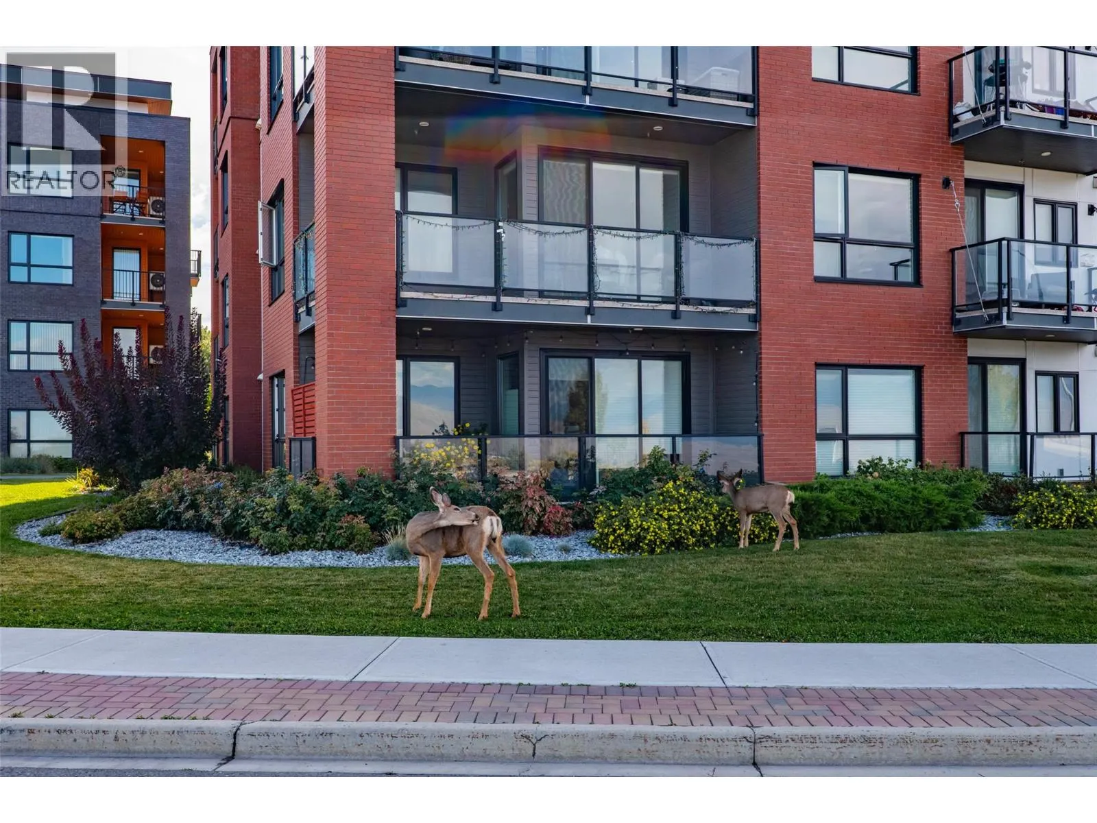 875 UNIVERSITY Drive Unit# 203