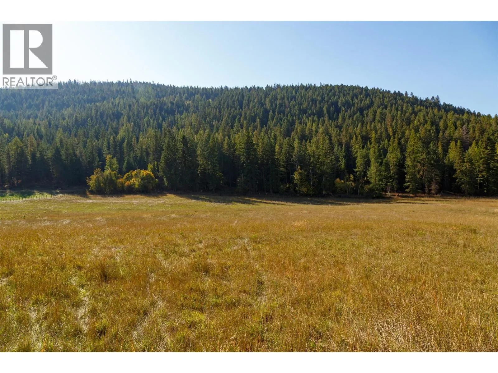 96 Bloom Road