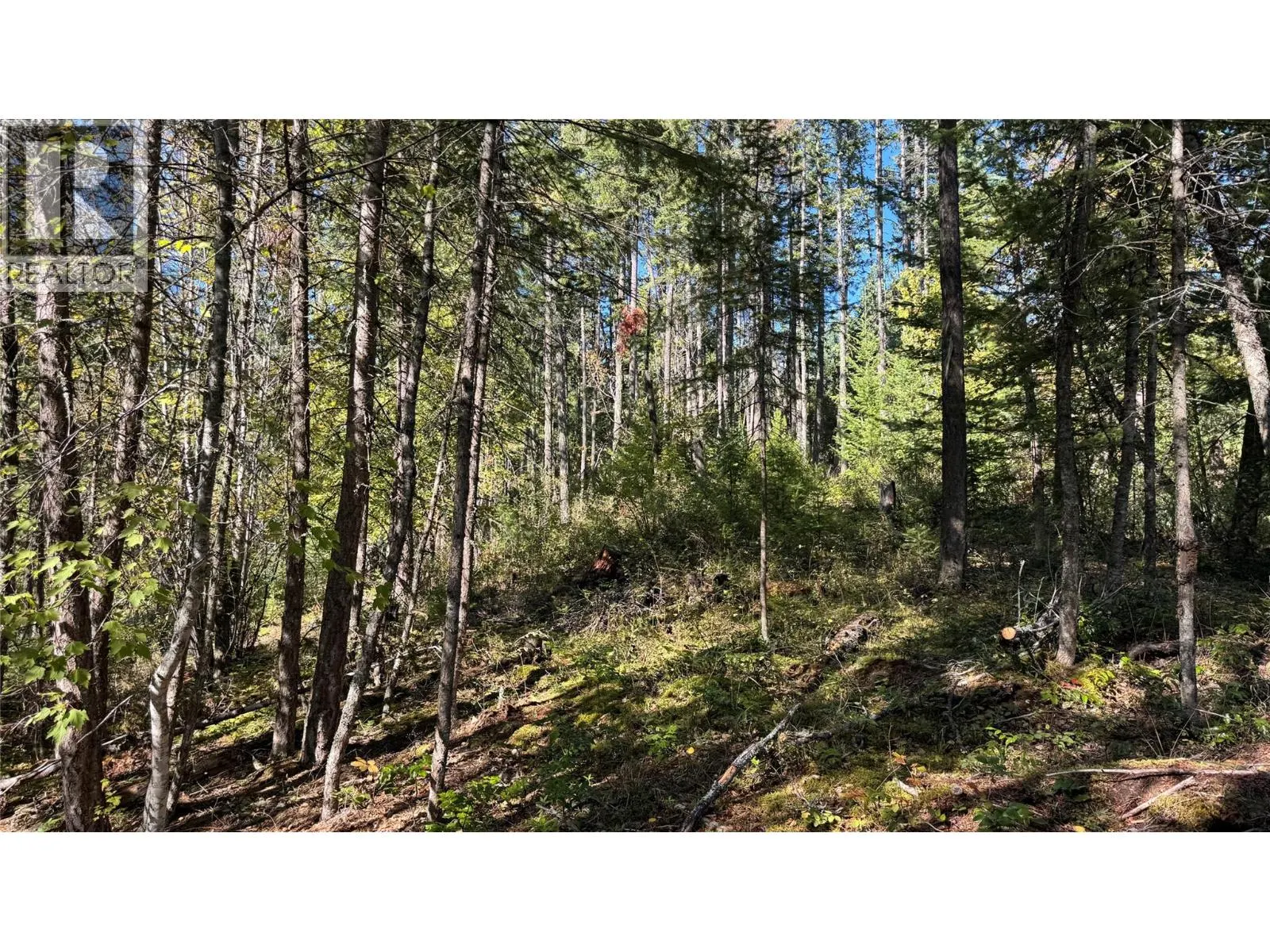 Pine Ridge Road Lot# Lot 31