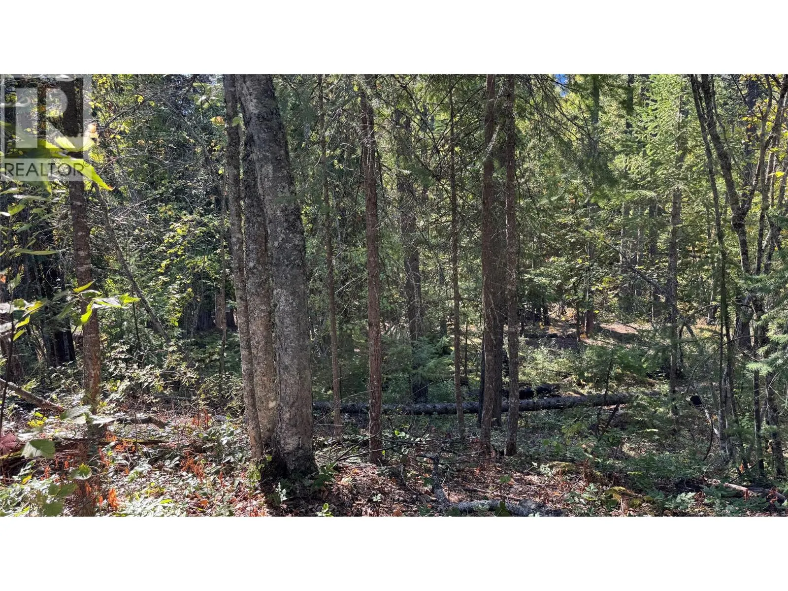 Pine Ridge Road Lot# Lot 31