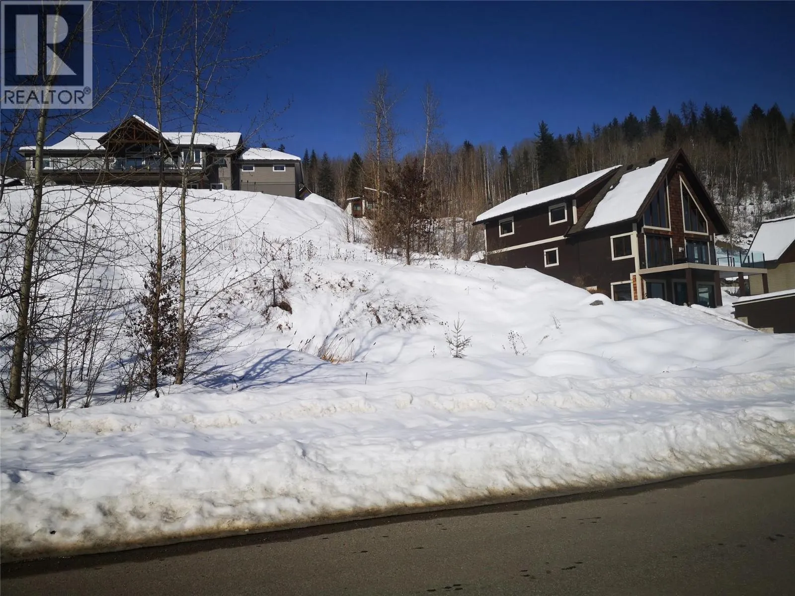 806 WHITE TAIL Drive