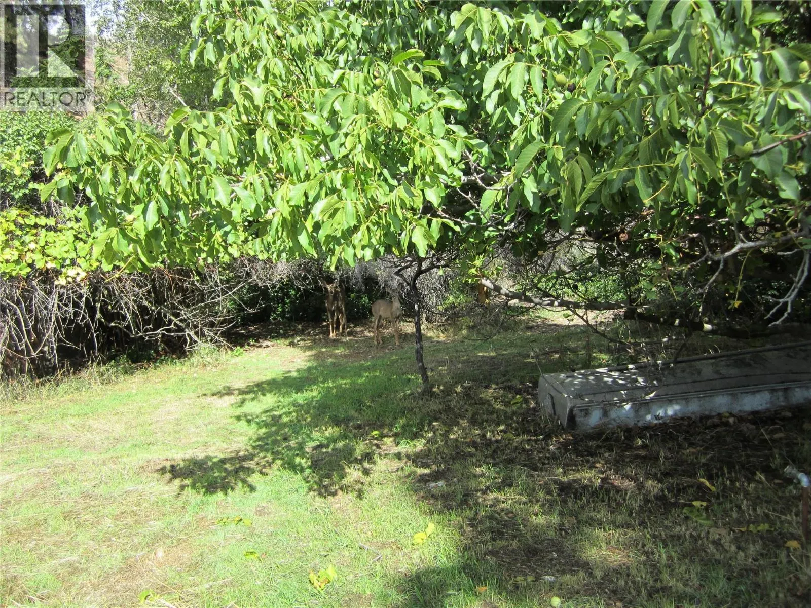 1285 Forestbrook Drive