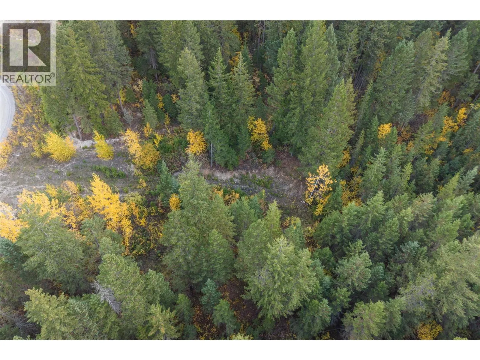 1260 WHITETAIL Drive