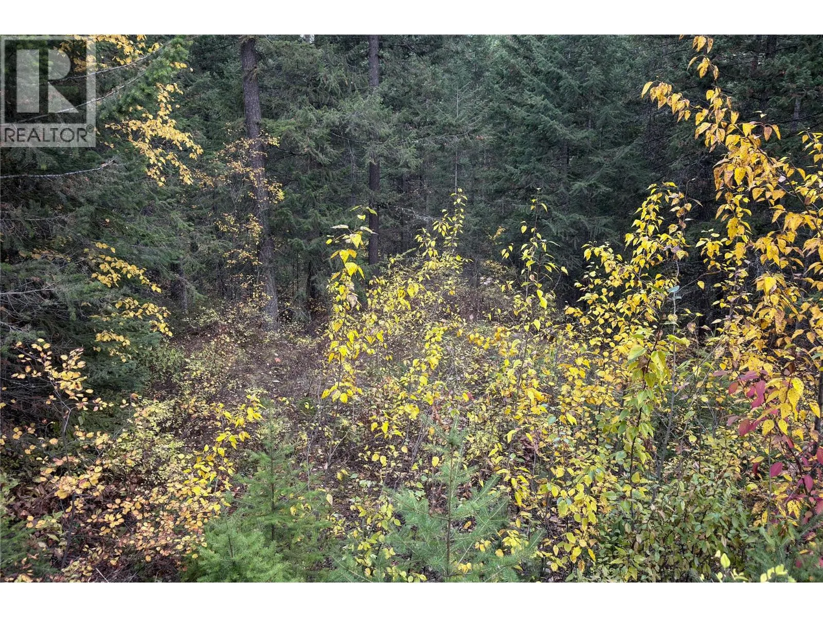 1260 WHITETAIL Drive