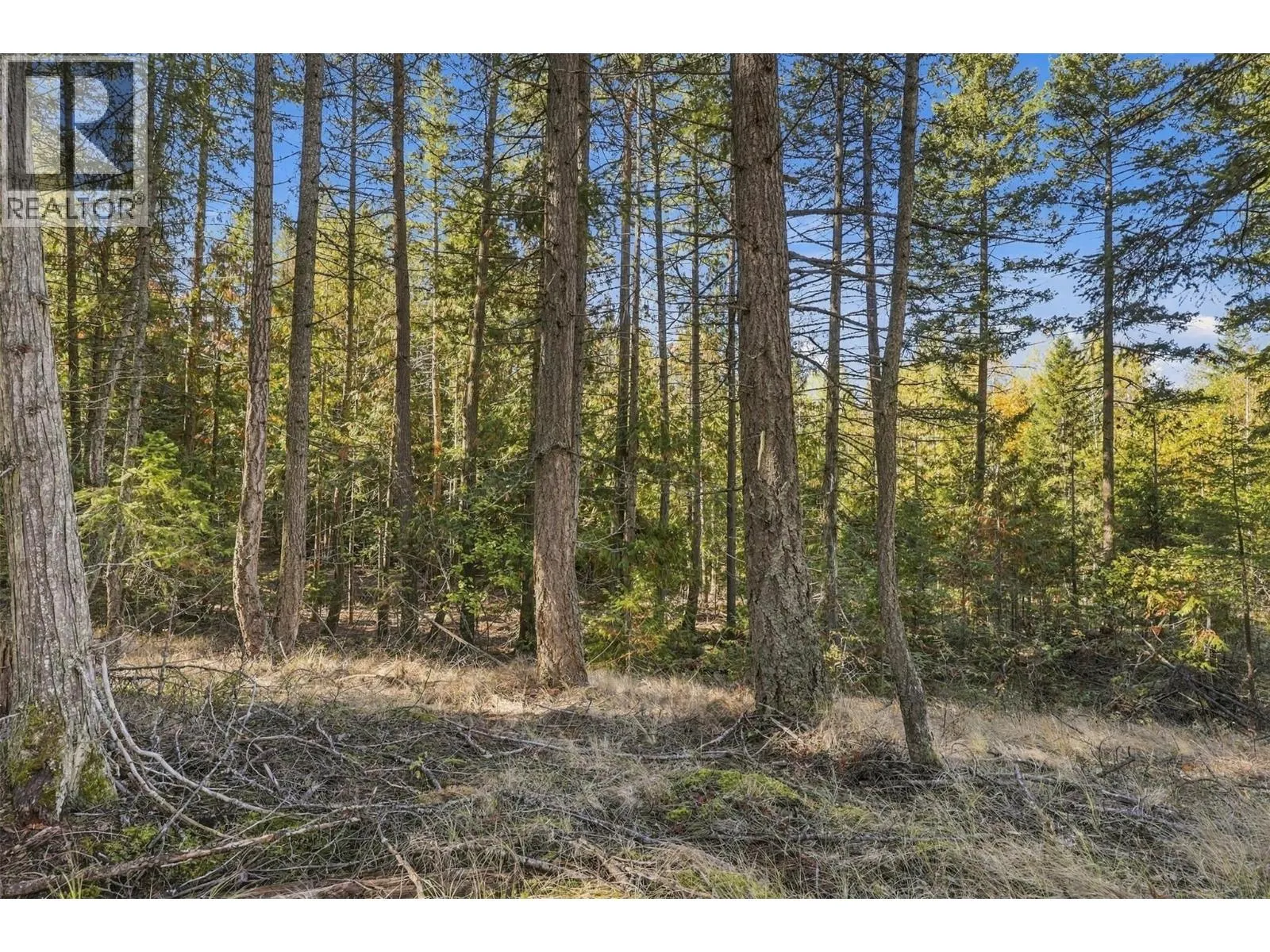 8488 BLACK MOUNTAIN Road