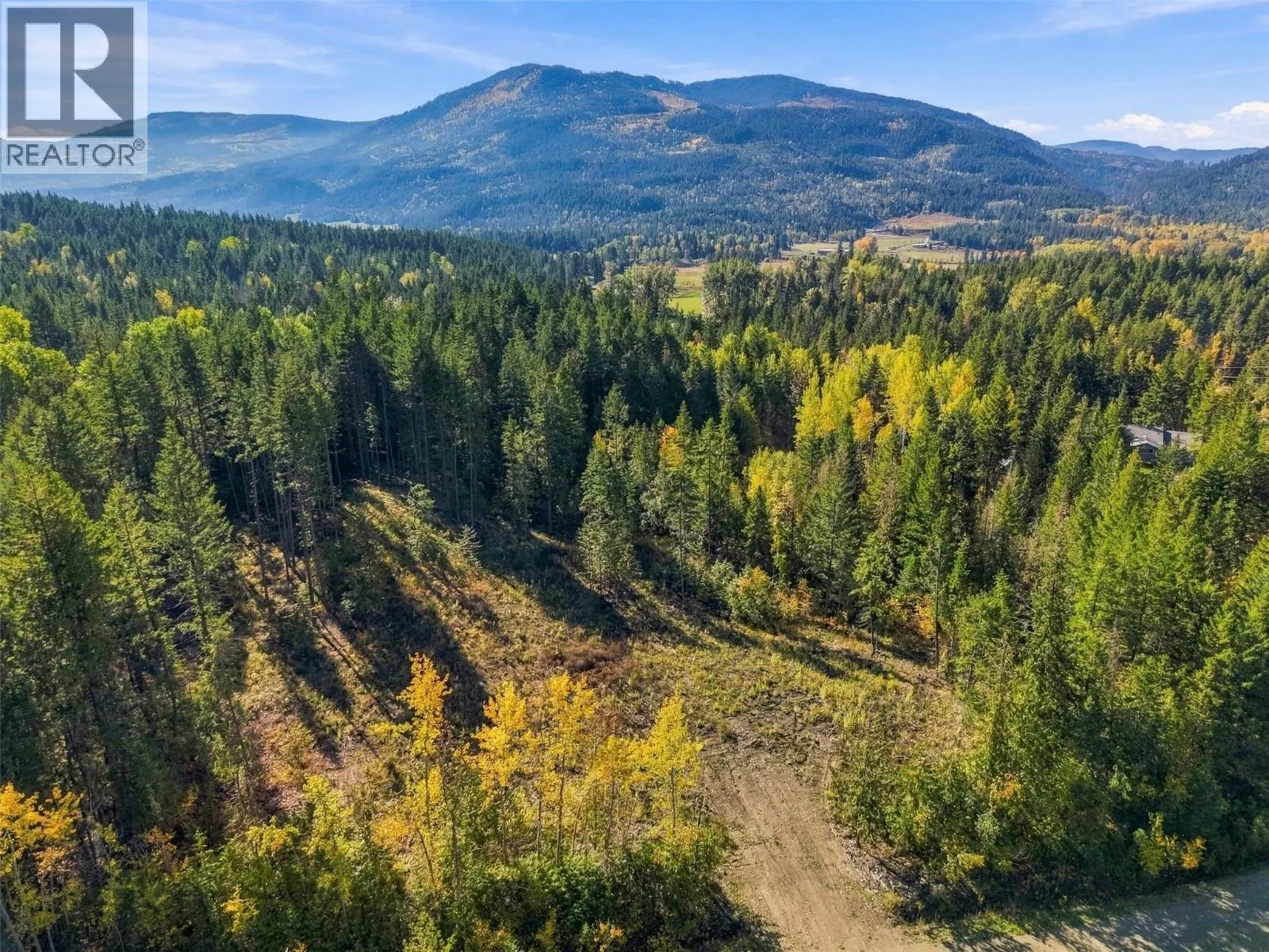 8488 BLACK MOUNTAIN Road