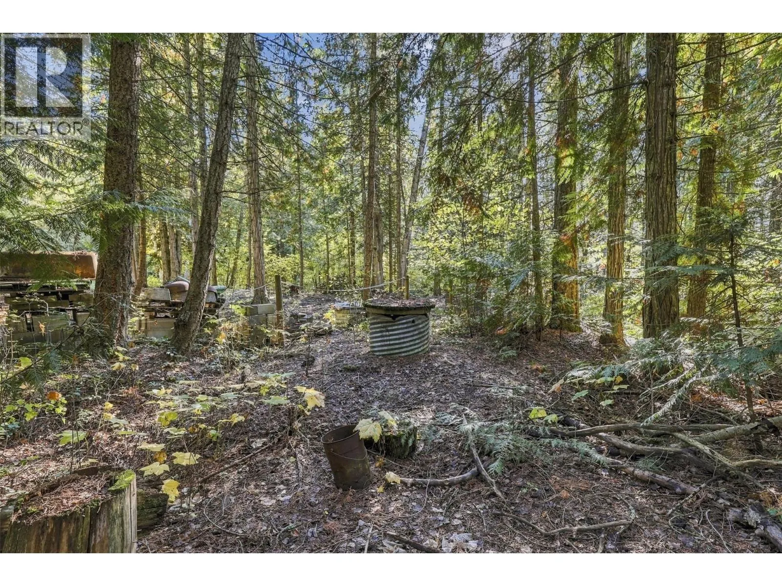 8488 BLACK MOUNTAIN Road