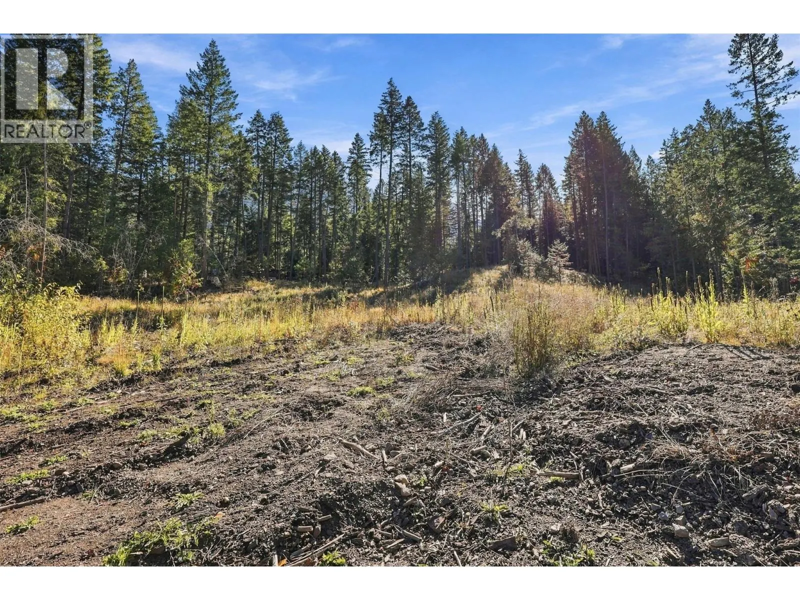 8488 BLACK MOUNTAIN Road