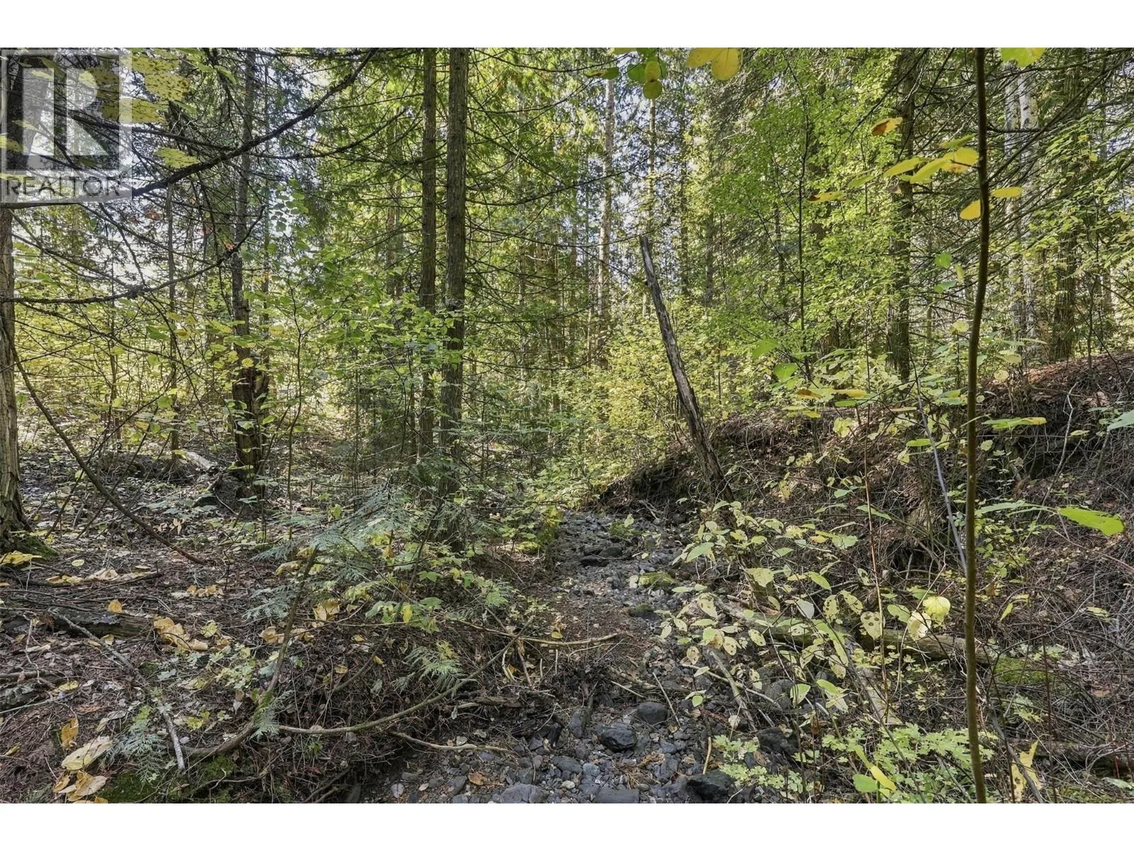 8488 BLACK MOUNTAIN Road