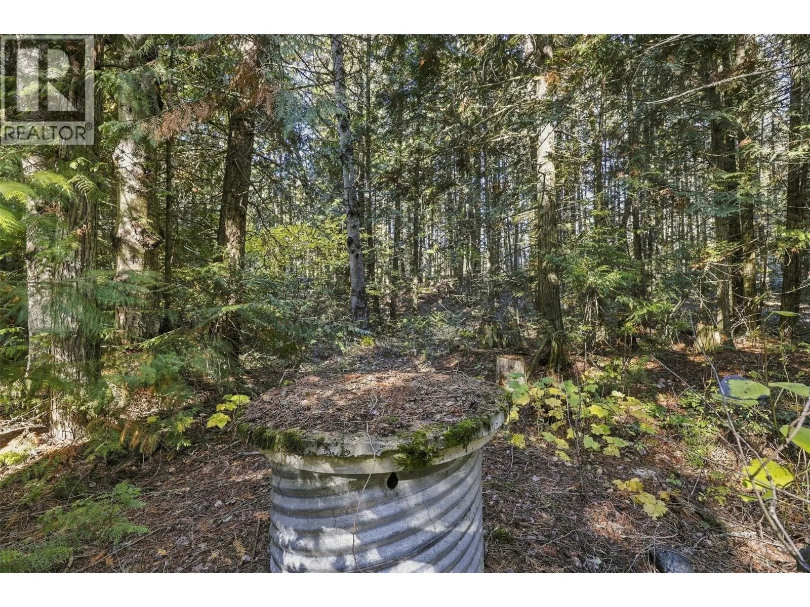 8488 BLACK MOUNTAIN Road