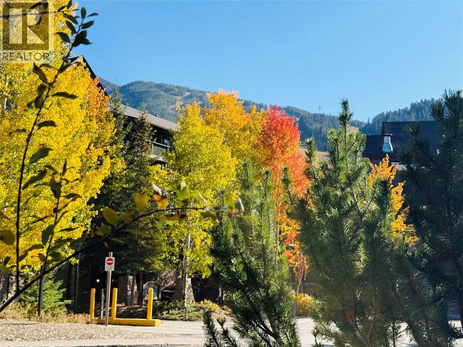 2049 SUMMIT Drive Unit# 215 D
