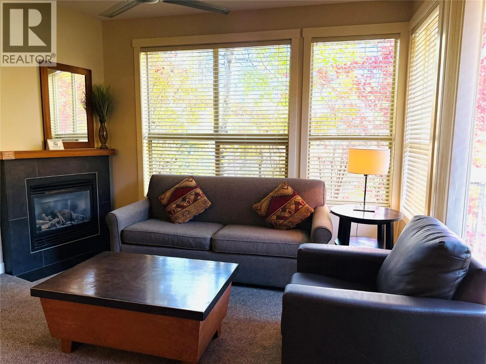 2049 SUMMIT Drive Unit# 215 D