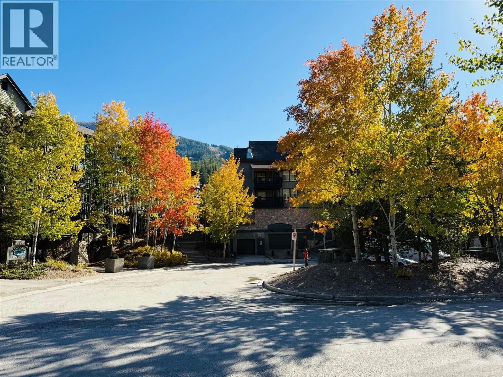 2049 SUMMIT Drive Unit# 215 D