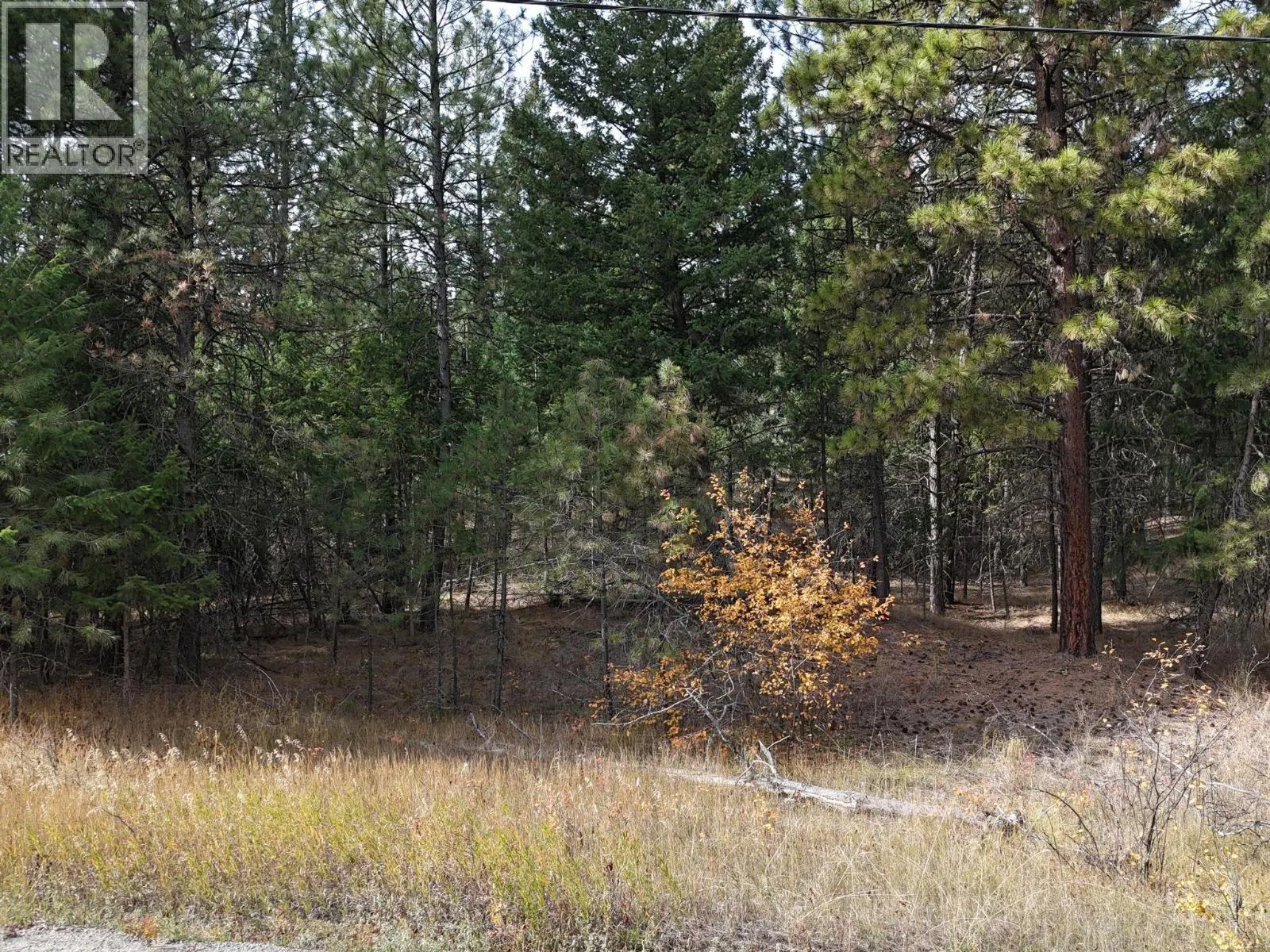 Adams Road Lot# A