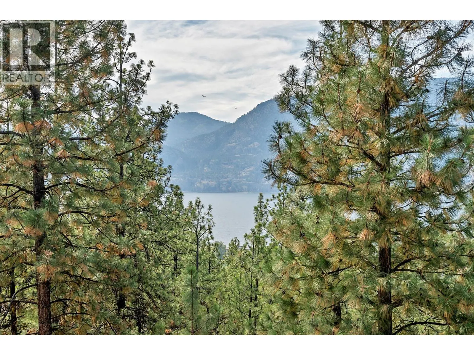 3331 Evergreen Drive Unit# 117