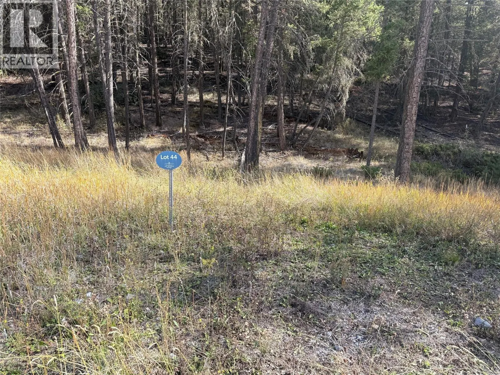 Lot 44 Mountain View Drive