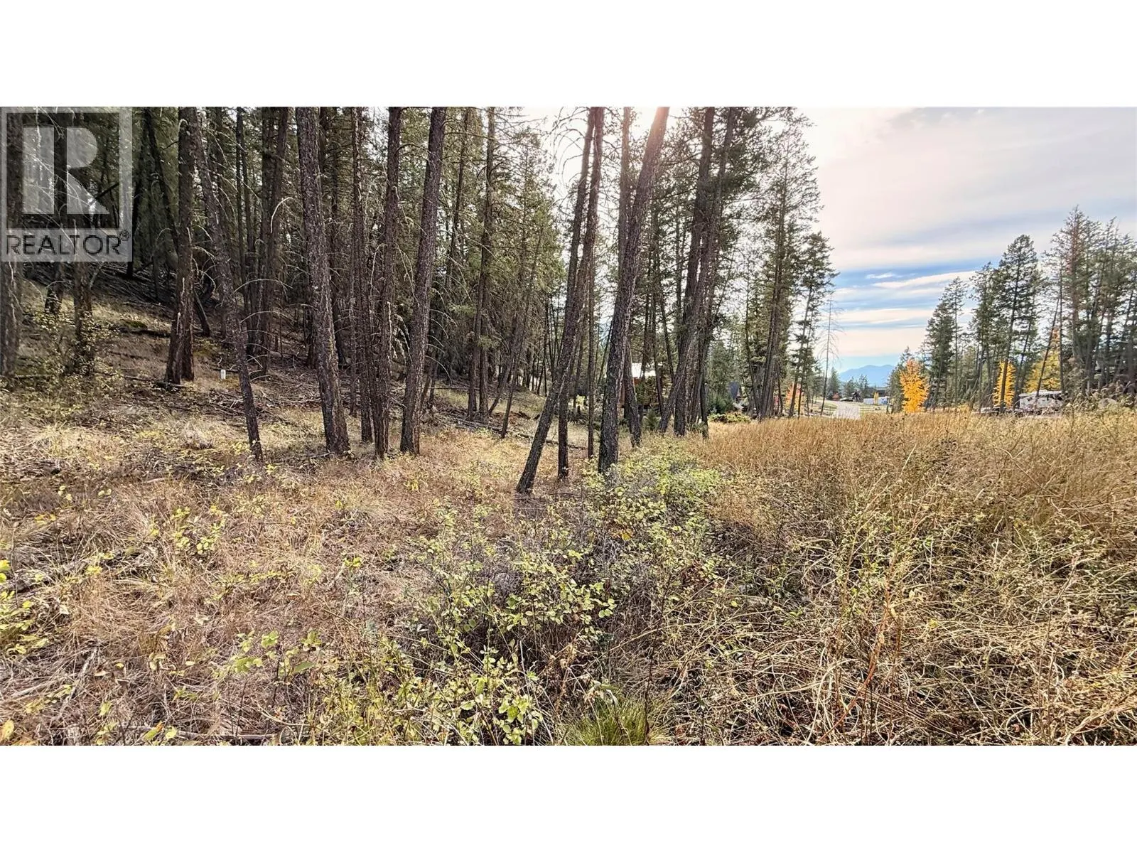 Lot 44 Mountain View Drive