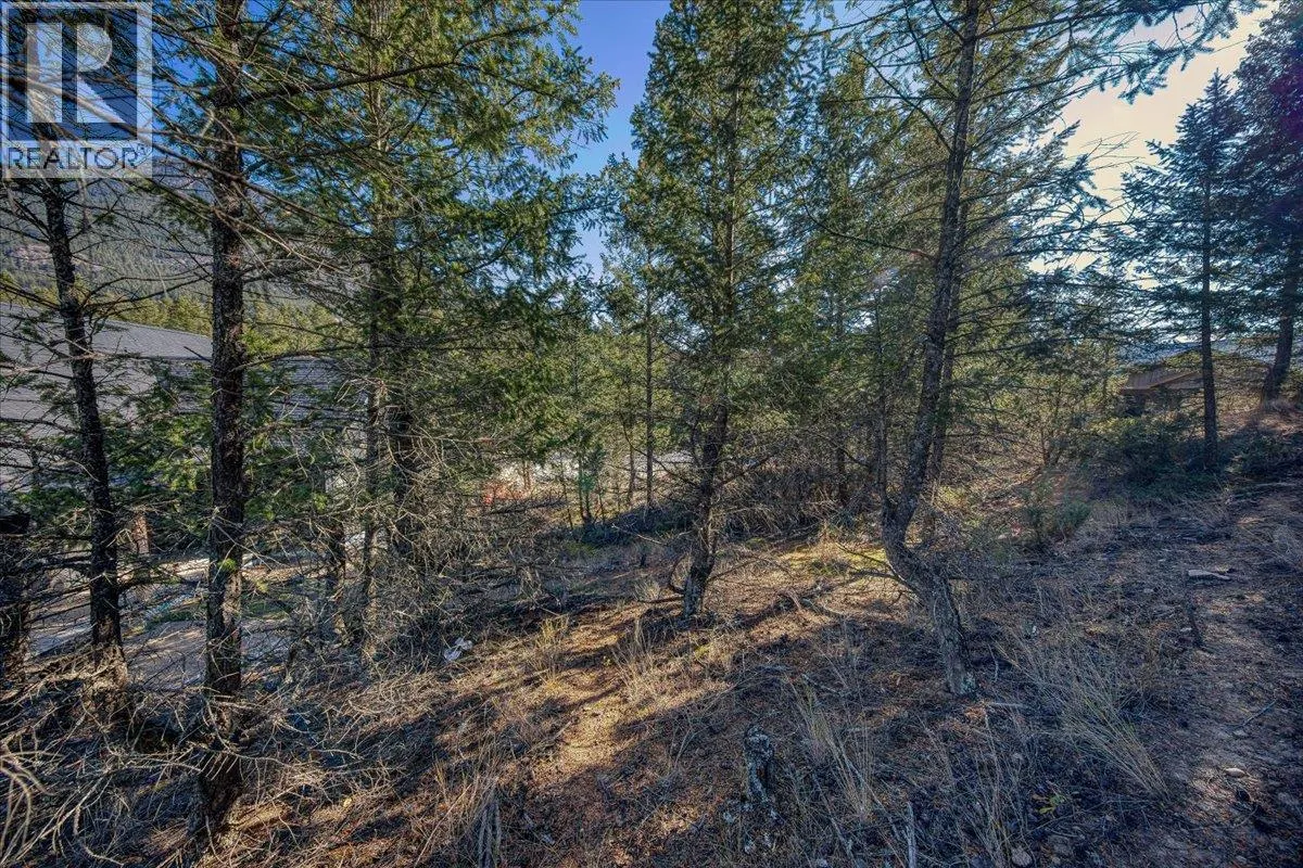 Lot 41 COOPER Road