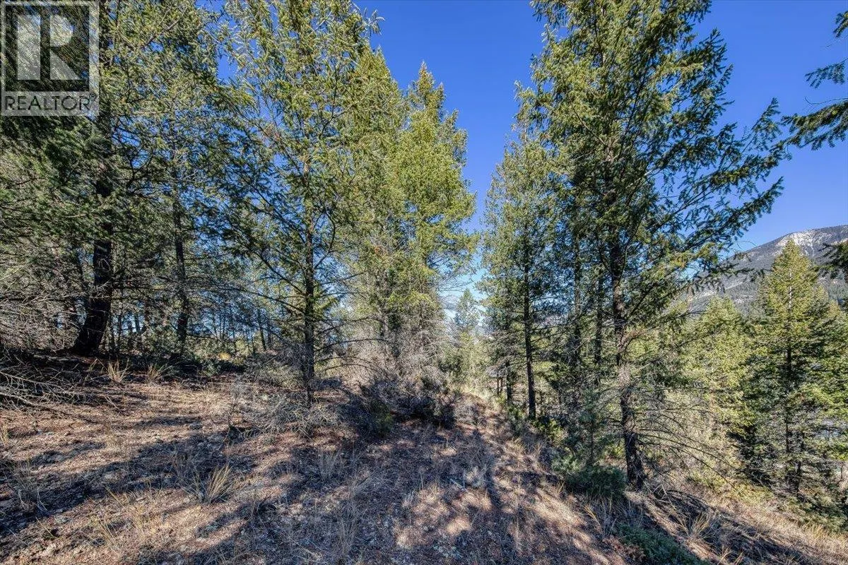 Lot 41 COOPER Road