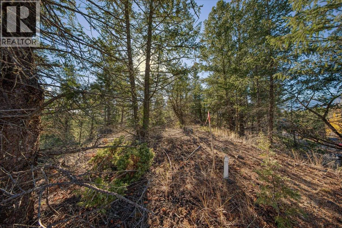 Lot 41 COOPER Road