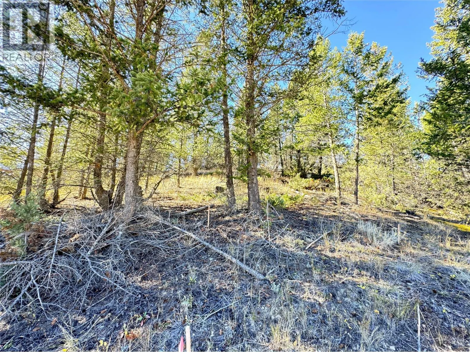Lot 41 COOPER Road