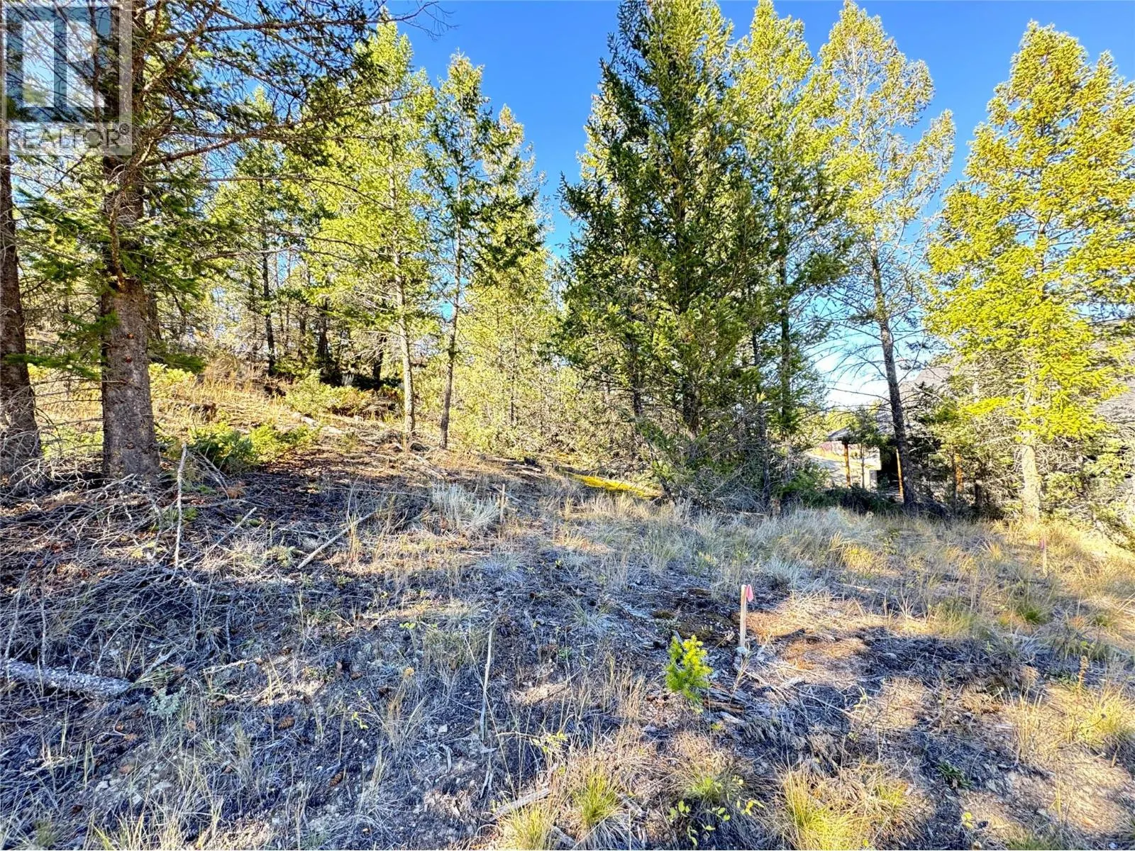 Lot 41 COOPER Road