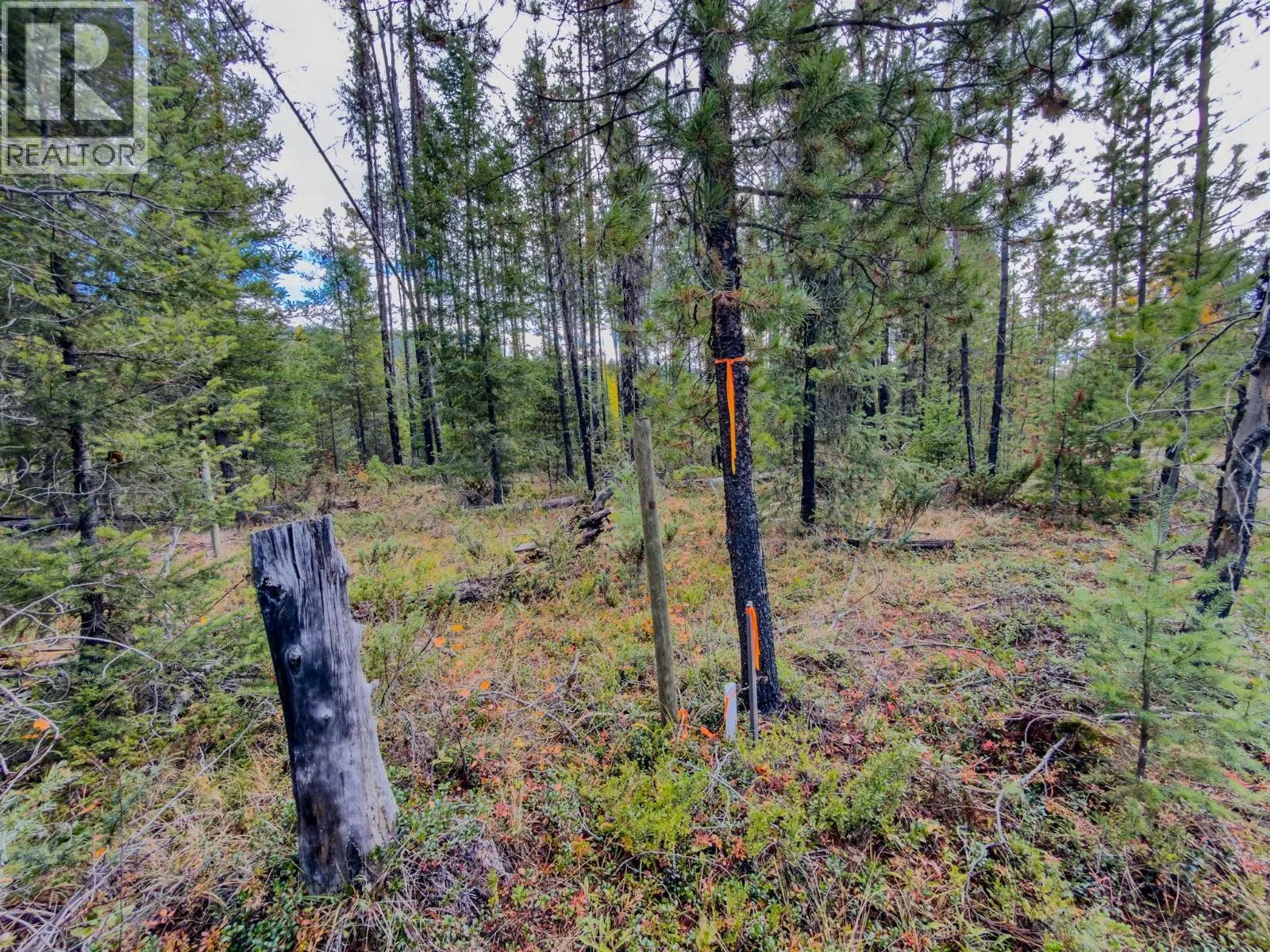 KM 57 Christian Valley Road Lot# 4