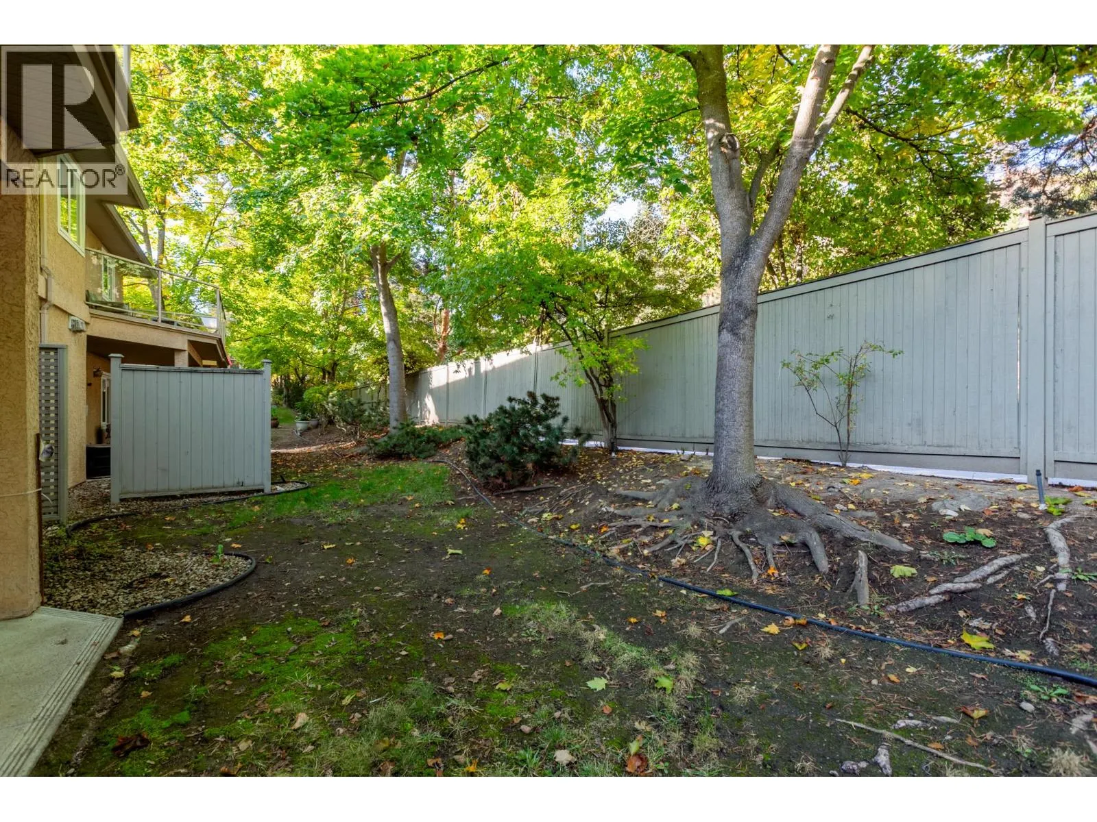 2425 Mount Baldy Drive Unit# 19