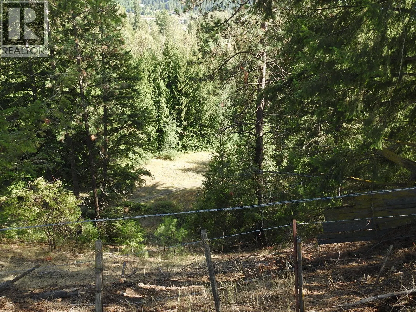 5585 Silver Star Road