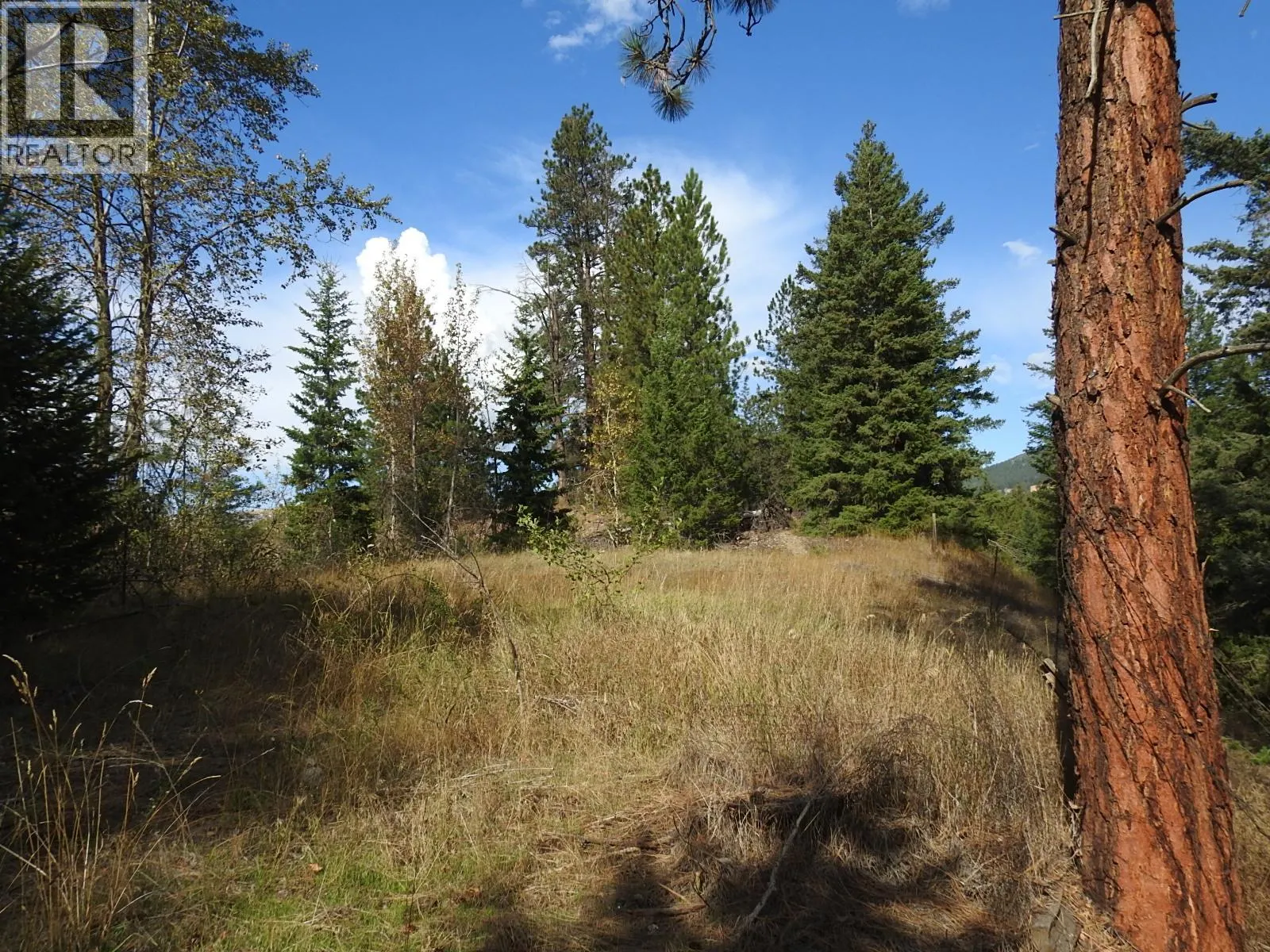 5585 Silver Star Road