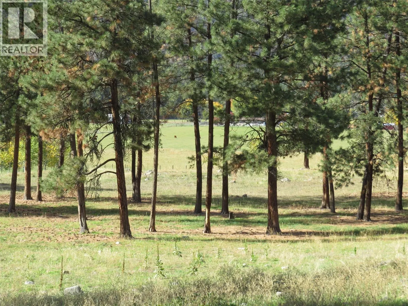 855 Fish Lake Road