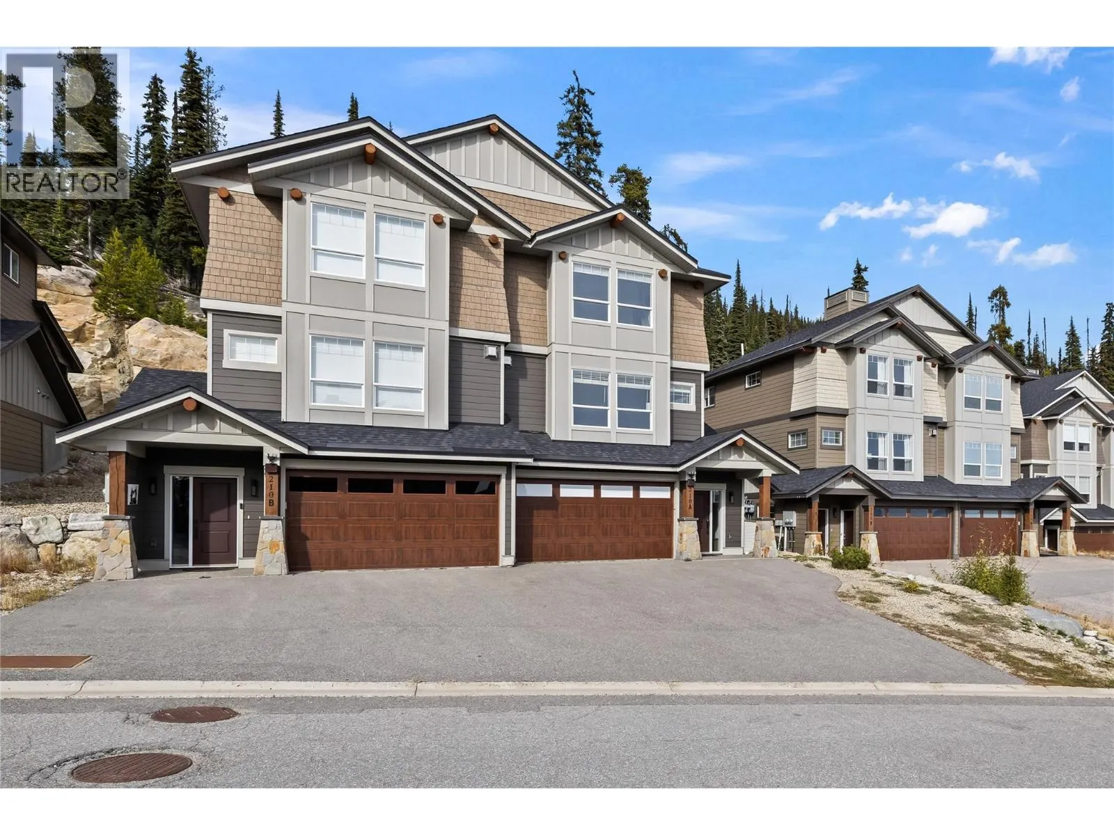 210A Grizzly Ridge Trail