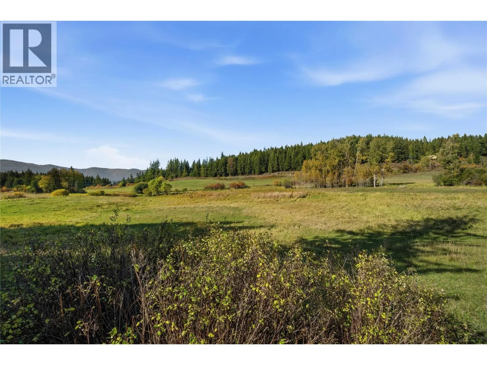 2321 Salo Road