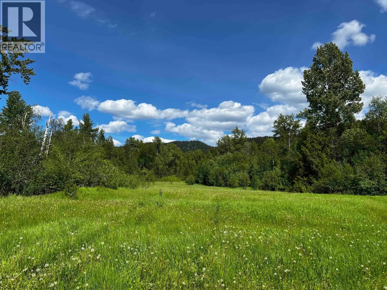 1360 HARPER LAKE Road