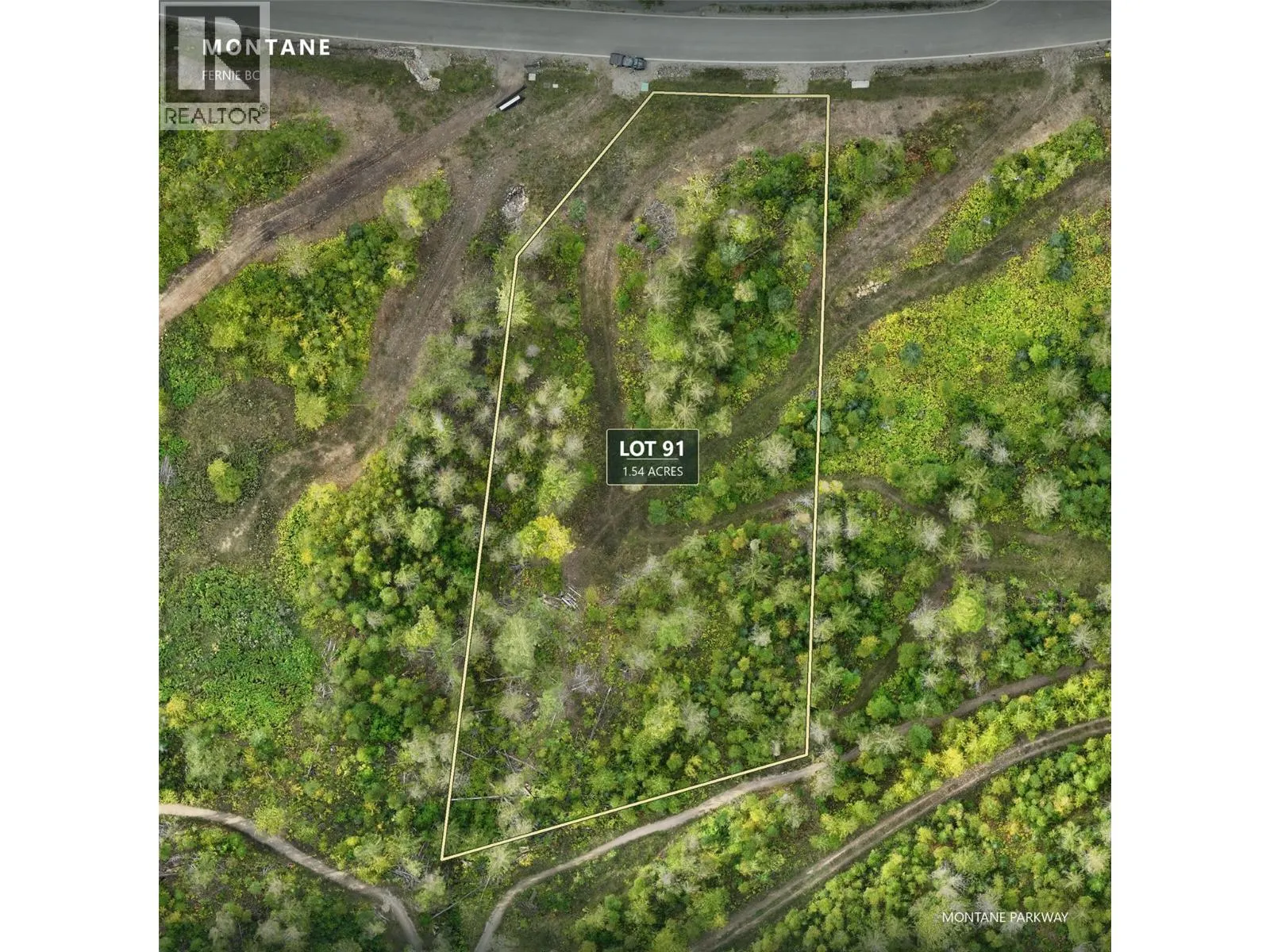 Lot 91 MONTANE Parkway