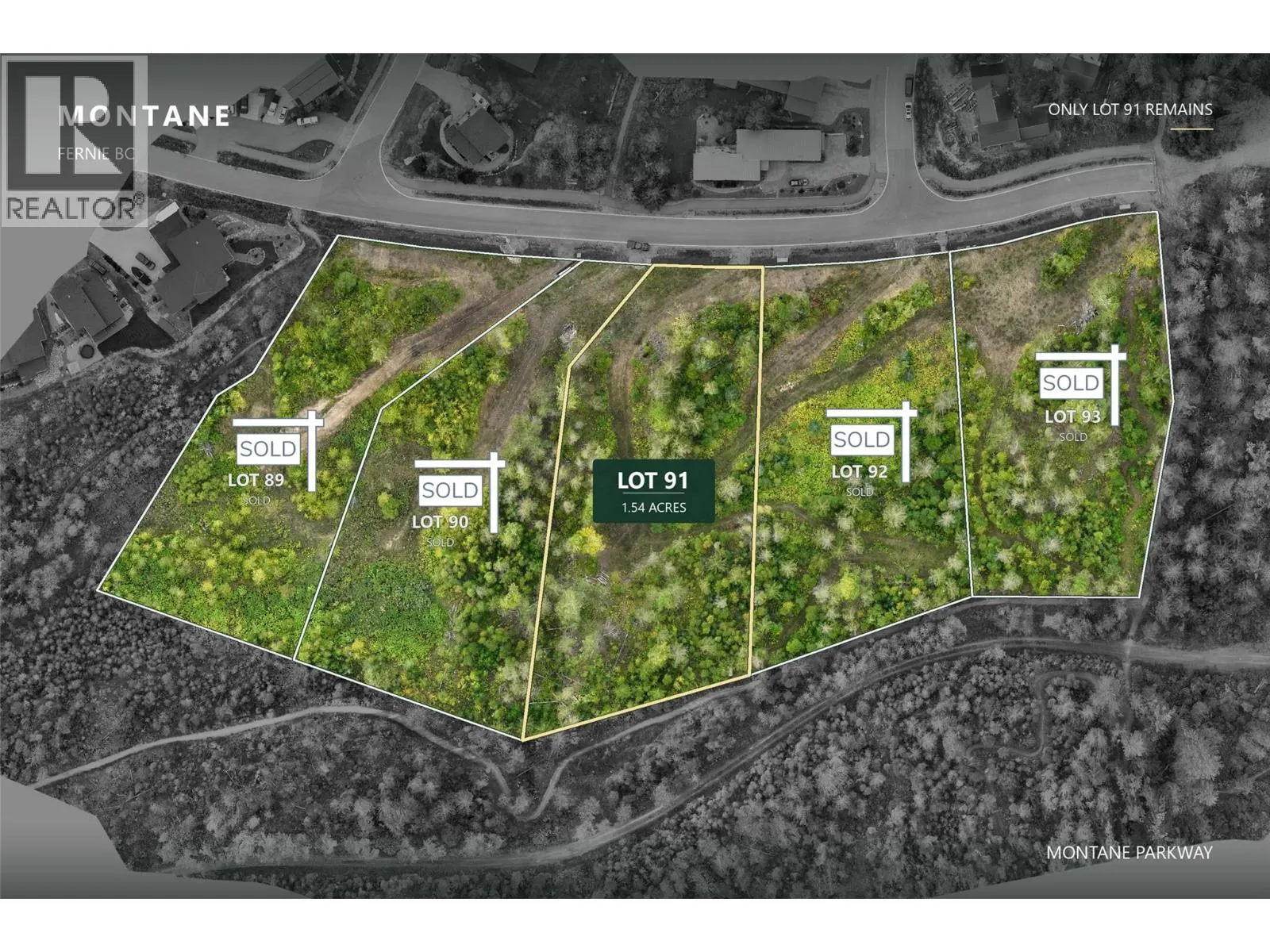 Lot 91 MONTANE Parkway