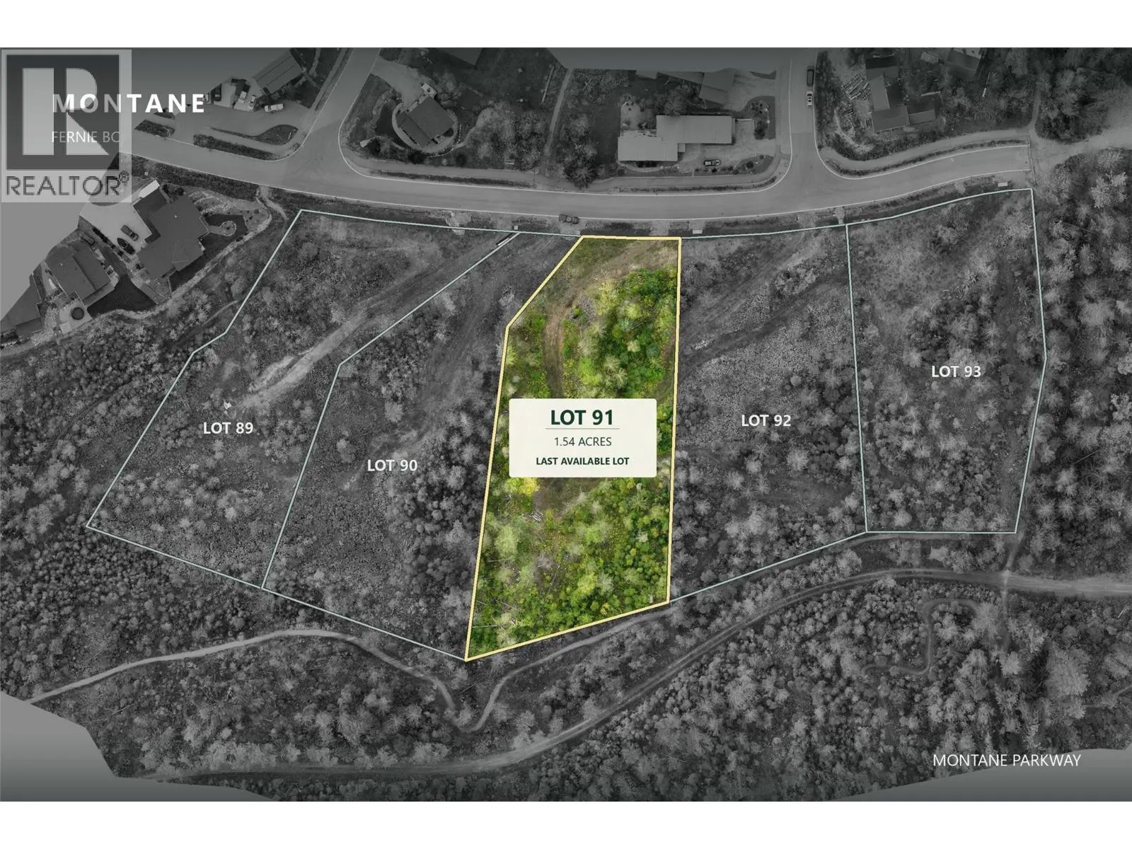 Lot 91 MONTANE Parkway