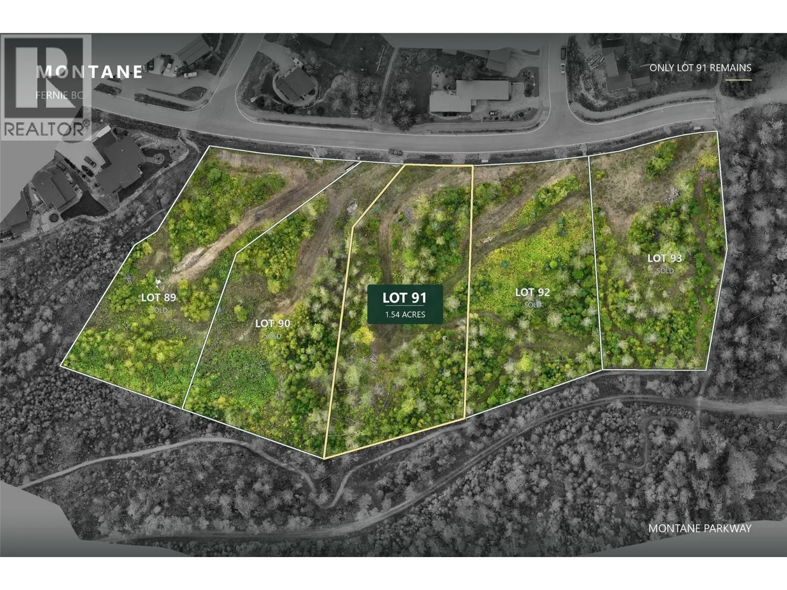 Lot 91 MONTANE Parkway